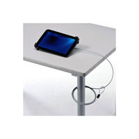 サンワサプライ タブレット汎用セキュリティ12.5インチ対応 SLE-28STB12BKN 1個（わけあり品）