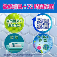 ファブリーズ 布用 W除菌+消臭 香りが残らない 詰め替え 特大 640mL 消臭スプレー P＆G（わけあり品）
