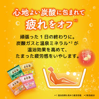 きき湯 炭酸入浴剤 バラエティパック 1パック（24包入） アース製薬