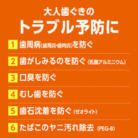 歯磨き粉 フッ素 ディープクリーン 温感ハミガキ 45g 花王