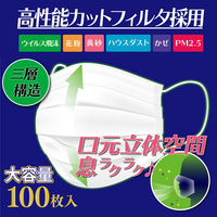 iiもの本舗 三層構造プリーツマスク 口元空間ドームタイプ やや大きめ 大容量 100枚入 4589596695884 1箱（直送品）