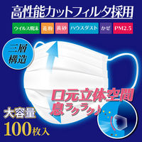 iiもの本舗 三層構造プリーツマスク 口元空間ドームタイプ ふつう 大容量 100枚入 4589596695891 1箱（直送品）