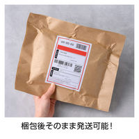 ヒサゴ 梱包紙クラフトA4 KPN002 1冊（直送品）