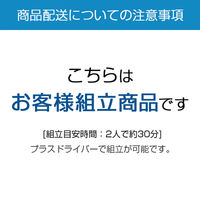 イトーキ サリダストレージ オープン3段 両開き3段 本体 下置 幅800×奥行450×高さ2136mm YEV-218HL-WBS 1台（直送品）