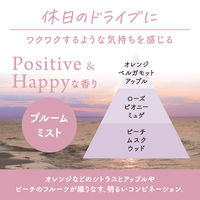 消臭力 クルマ用 フィールユー クリップタイプ 詰め替え2回分 ブルームミスト 1個 消臭剤 車 芳香剤 エステー