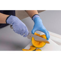 ハンボ ノンコートフォース L WE0225-1P 1双（直送品）