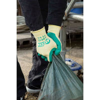 ハンボ プロスペックソフト L LN012-1P 1双（直送品）