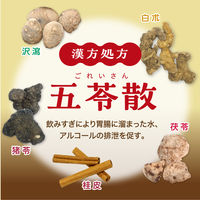 大正漢方胃腸薬 内服液 30ml 10本セット 大正製薬 飲みすぎ はきけ 二日酔いのむかつき【第2類医薬品】