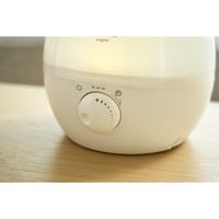 アピックスインターナショナル アピックス 超音波式アロマ加湿器original グリーン ASZー330 GR ASZ-330(GR) 1台