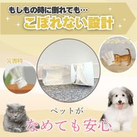 パックリン 置き型タイプ ペット用 60日用 ホワイトムスクの香り 国産 400ml 1個 アース・ペット 犬猫用 消臭剤