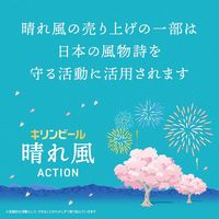 ビール 瓶ビール アソート 3種飲み比べセット 中瓶 中ビン 500ml 1セット(6本)