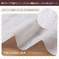 おそうじマルチクリーナー 1セット（1パック（30枚入）×50） 伊藤忠リーテイルリンク