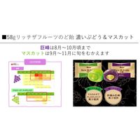 キャンディ 飴 のど飴 リッチザフルーツのど飴 濃いぶどう＆マスカット 58g 1セット（1個×5）