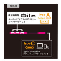 ナカバヤシ USB2.0 TypeーC 3ポートハブ 極薄極細 グレー UH-C2573GY 1個