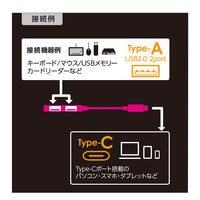 ナカバヤシ USB2.0 TypeーC 2ポートハブ 極薄極細 グレー UH-C2562GY 1個