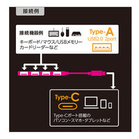 ナカバヤシ USB2.0 TypeーC 4ポートハブ 極薄極細 グレー UH-C2584GY 1個