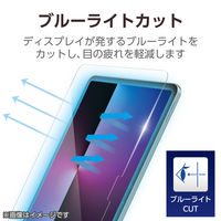 iPad A16 11インチ/10.9インチ(第10世代) ガラスフィルム 高透明 TB-A25RFLGGBLT エレコム 1個（直送品）