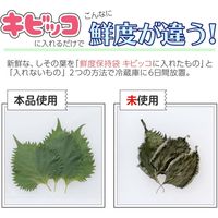 コモライフ お料理ママの鮮度保持袋キビッコ ロング80枚 218990 1セット(80枚入)（直送品）