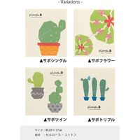 センコー SDS　サボツイン　スポンジワイプ　約20×17cm　グレー SDS191025 1個 4973422636729（直送品）