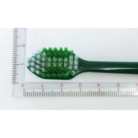 生葉（しょうよう）極幅ブラシ レギュラーヘッド やわらかめ 小林製薬 歯ブラシ 歯周病 歯槽膿漏