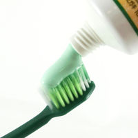 ひきしめ生葉（しょうよう） 歯槽膿漏を防ぐ 薬用ハミガキ ハーブミント味 100g 小林製薬 歯磨き粉