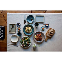 丸利玉樹利喜蔵商店 プレート 16cm M AirStack エアスタック 磁器 美濃焼 ネイビー 423210 1個（直送品）