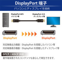 日本トラストテクノロジー DisplayPortケーブル 4K対応 2m JTDISP4K-2M-BK 1本