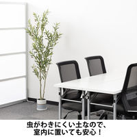 【用土】 室内でも安心！虫がわきにくい観葉植物の土  1袋（5L入） オリジナル