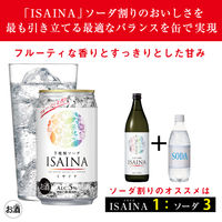 チューハイ 宝酒造 ISAINA イサイナ 芋焼酎ソーダ 缶 350ml 2ケース(48本)