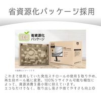 PHILIPS 液晶ディスプレイ 23.8インチ/1920×1080 24E2N2100/11 1台（直送品）