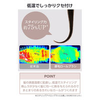 カールドライヤー マイナスイオン 軽量 冷温風 ブラシ2種 シンプル操作 ブロンズ 正規品 TC530A-N/E テスコム 1個（直送品）