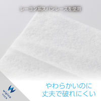 ウェットティッシュ クリーナー 50枚入り 2個パック 除菌 消臭 アルコール WC-AG100H2 エレコム 1個（直送品）