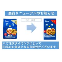 コーンスナック 食べきりサイズ ソルティ キャラメルコーン 67ｇ 1セット（1個×12）