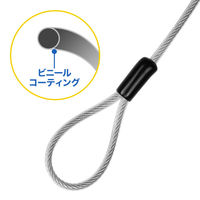 サンワサプライ Surface用セキュリティワイヤー(シリンダー錠タイプ) SLE-50SSFPG 1個