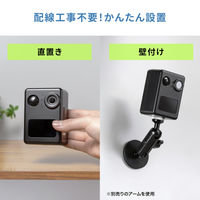 サンワサプライ バッテリー内蔵小型トレイルカメラ CMS-SC10BK 1台