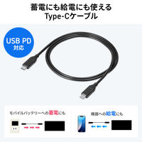サンワサプライ USB PD対応モバイルバッテリー(19800mAh・PD60W) BTL-RDC37 1個