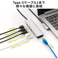 サンワサプライ 8K対応 USB TypeーC ドッキングステーション USB-DKM9S 1個