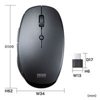 サンワサプライ 静音マウス付き2.4GHzワイヤレスキーボード(TypeーC接続) SKB-WL40CSETBK 1個