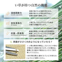 【軒先渡し】萩原 畳付き収納スツール 幅1200×奥行600×高さ450mm ナチュラル RUD-1159NA 1台（直送品）