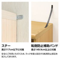 大洋 Shelfit Shelfit カラーラック 幅400×奥行400×高さ881mm NC9040MD(WH) 1台（直送品）