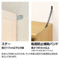 大洋 Shelfit Shelfit カラーラックタフ 幅900×奥行190×高さ1170mm NCタフ1290S(WH) 1台（直送品）