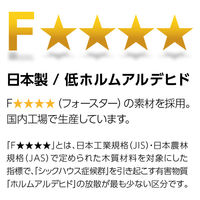 大洋 Shelfit バリュープライスカラーラック 幅1165×奥行310×高さ881mm NC9012ダイワ (LN) 1台（直送品）