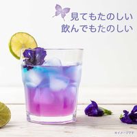 伊藤園 バタフライピーティー 500ml 1箱（24本入）
