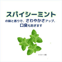 薬用メディカ つぶつぶ塩 170g 1セット（10本） サンスター 歯磨き粉 歯周病予防 塩ハミガキ