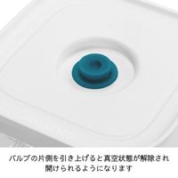 フレッシュ＆セーブ キューブ ボックス 2L ブルー 1セット（1個×3） ツヴィリング （ ZWILLING ）