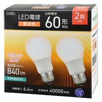 オーム電機 LED電球 E26 60形相当 電球色 2個入 LDA6LGAG592P 1セット(2個)