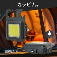 オーム電機 充電式COBライト 230ルーメン LHC23A5 1個