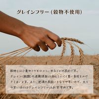 【アウトレット】シグネチャー7 チキンブロス サーモン＆イミューンヘルス（金）80g 6個 ファンタジーワールド ドッグフード 犬用 ウェット