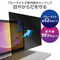 エレコム プライバシーフィルター のぞき見防止 16Wインチ (16:10) EFWPFX16W10 1枚（直送品）