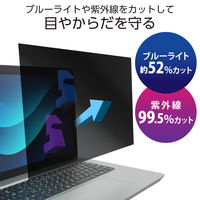 エレコム プライバシーフィルター のぞき見防止 15.6Wインチ (16:9) EFWPFX156W9 1枚（直送品）